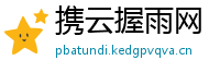 携云握雨网